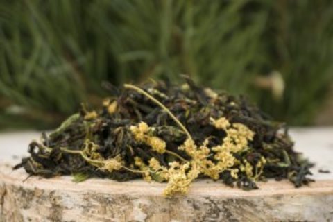 Иван-чай «с цветками и листьями таволги» из Суздаля