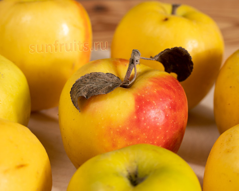 домашние ароматные яблоки