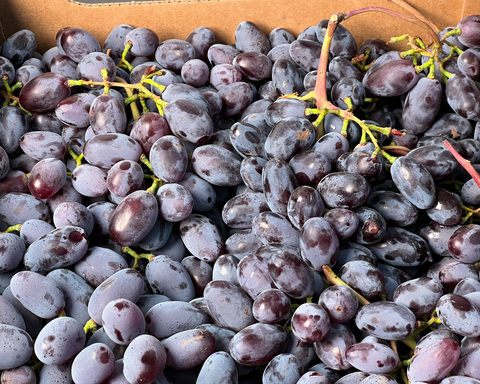 Крымский виноград купить в Москве